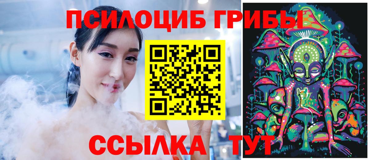 наркота  Псилоцибиновые грибы прущие грибы  Вход с VPN  Елец 