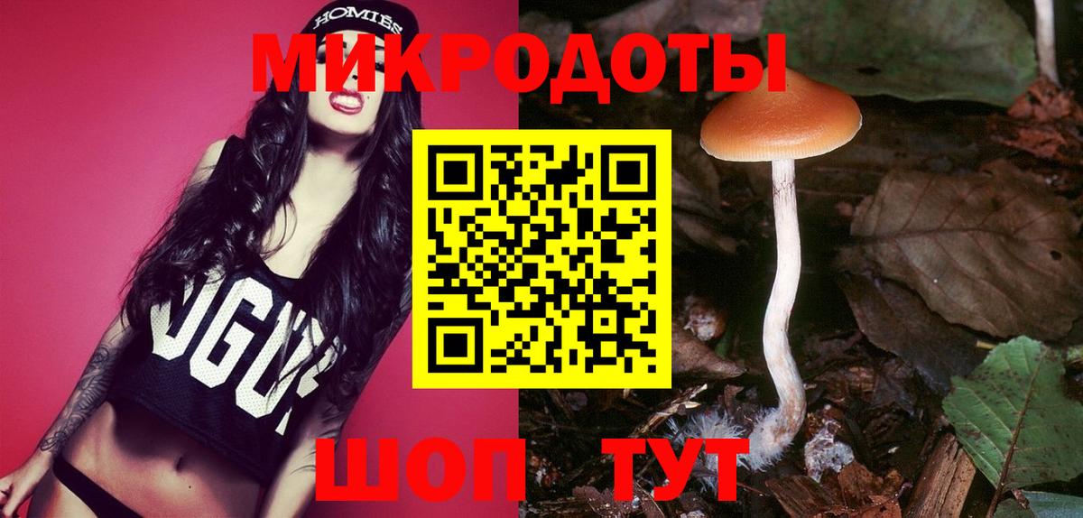Галлюциногенные грибы Cubensis Елец